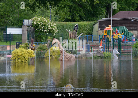 Stourport on Severn, Worcestershire, Großbritannien. 16. Juni 2019. Eine überflutete Spielplatz und Minigolfanlage in der Nähe des Flusses Severn. Der Fluss hat die Ufer an mehreren Orten und mehr Wasser aus dem walisischen Hügel ist noch hinzufügen zu dem Fluss, der auf einem ungewöhnlich hohen Niveau für Juni ist. G.P. Essex/Alamy leben Nachrichten Stockfoto