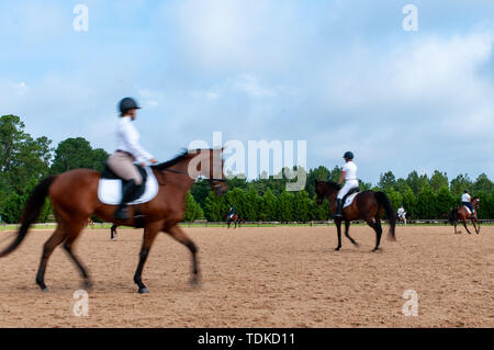 Raeford, North Carolina, USA. 16 Juni, 2019. Juni 15, 2019 - Raeford, North Carolina, USA - Reiter und Pferde Warm-up für Dressur am 2019 War Horse Event Reihe, 15. Juni bei Carolina Horse Park in Raeford, N.C. In 2013 gegründet, als die Kabine Zweig Veranstaltungsreihe, die Krieg Pferd Veranstaltungsreihe besteht aus fünf horse trials und kombinierte Tests und zieht die Reiter und ihre Pferde aus über dem Osten der Vereinigten Staaten. Credit: Timothy L. Hale/ZUMA Draht/Alamy leben Nachrichten Stockfoto