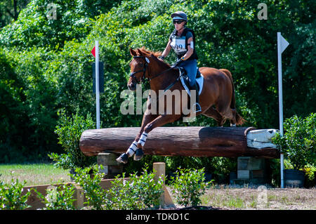 Raeford, North Carolina, USA. 16 Juni, 2019. Juni 15, 2019 - Raeford, North Carolina, USA - SUSANNE McDANIEL, Corelli konkurriert im Langlauf an der 2019 War Horse Event Reihe, 15. Juni bei Carolina Horse Park in Raeford, N.C. In 2013 gegründet, als die Kabine Zweig Veranstaltungsreihe, die Krieg Pferd Veranstaltungsreihe besteht aus fünf horse trials und kombinierte Tests und zieht die Reiter und ihre Pferde aus über dem Osten der Vereinigten Staaten. Credit: Timothy L. Hale/ZUMA Draht/Alamy leben Nachrichten Stockfoto