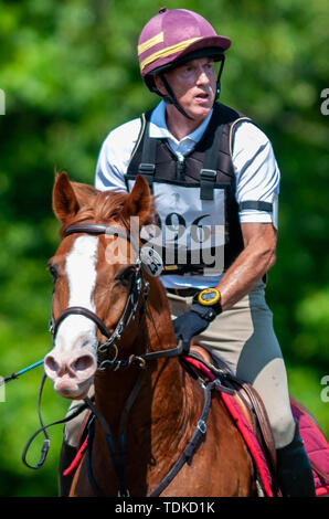 Raeford, North Carolina, USA. 16 Juni, 2019. Juni 15, 2019 - Raeford, North Carolina, USA - DON WARREN Reiten schlug Baby konkurriert im Langlauf an der 2019 War Horse Event Reihe, 15. Juni bei Carolina Horse Park in Raeford, N.C. In 2013 gegründet, als die Kabine Zweig Veranstaltungsreihe, die Krieg Pferd Veranstaltungsreihe besteht aus fünf horse trials und kombinierte Tests und zieht die Reiter und ihre Pferde aus über dem Osten der Vereinigten Staaten. Credit: Timothy L. Hale/ZUMA Draht/Alamy leben Nachrichten Stockfoto