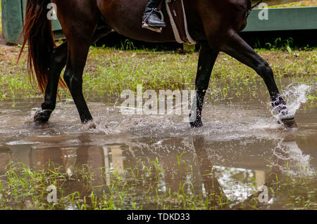 Raeford, North Carolina, USA. 16 Juni, 2019. Juni 15, 2019 - Raeford, North Carolina, USA - ein Pferd und Reiter splash durch ein Wasserhindernis im Langlauf an der 2019 War Horse Event Reihe, 15. Juni bei Carolina Horse Park in Raeford, N.C. In 2013 gegründet, als die Kabine Zweig Veranstaltungsreihe, die Krieg Pferd Veranstaltungsreihe besteht aus fünf horse trials und kombinierte Tests und zieht die Reiter und ihre Pferde aus über dem Osten der Vereinigten Staaten. Credit: Timothy L. Hale/ZUMA Draht/Alamy leben Nachrichten Stockfoto