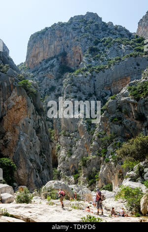 Nuoro, Italien. 06 Juni, 2019. Der Eingang zum Gola Gorropu, eine Schlucht in der Supramonte Berge der Insel Sardinien. Es ist eine der tiefsten Schluchten Europas mit Wänden bis zu 500 Meter hoch. Der Kalkstein der Schlucht wurde durch den Fluss Riu Fiumineddu geprägt. Foto: Jens Kalaene/dpa-Zentralbild/ZB/dpa/Alamy leben Nachrichten Stockfoto