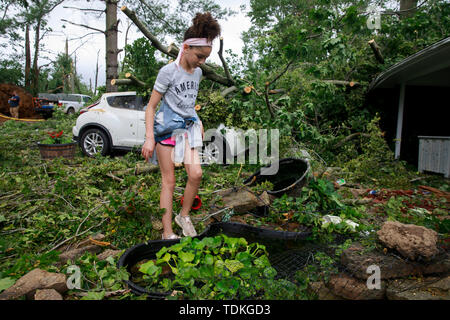 Ellettsville, Indiana, USA. 16 Juni, 2019. Khaliya Francke-Council rettet ihr koi Teich, wo 7 Fisch unerklärt geblieben sind, während die Folgen. Ein Tornado schlug den Bereich verlassen ein Patch der Beschädigung von Greene County, Monroe County im Norden zu zerstören, Bäume, Häuser, Autos, und aus ein Pfad von Schmutz und die Linien auf dem Boden. Credit: SOPA Images Limited/Alamy leben Nachrichten Stockfoto