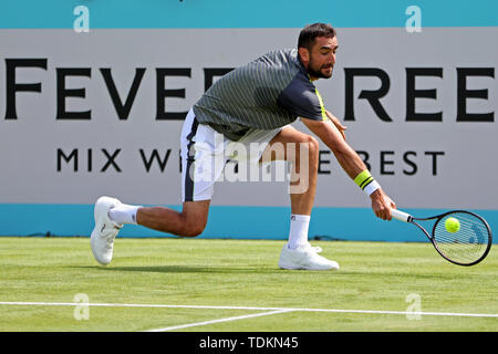 London, Großbritannien. 17 Juni, 2019. Marin Cilic (CRO) in Aktion während der Fieber Baum Tennis Meisterschaften im Queen's Club, West Kensington am Montag, den 17. Juni 2019. (Credit: Jon Bromley | MI Nachrichten) Credit: MI Nachrichten & Sport/Alamy leben Nachrichten Stockfoto