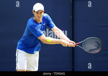 London, Großbritannien. 17 Juni, 2019. Andy Murray Ausbildung während der Fieber Baum Tennis Meisterschaften im Queen's Club, West Kensington am Montag, den 17. Juni 2019. (Credit: Jon Bromley | MI Nachrichten) Credit: MI Nachrichten & Sport/Alamy leben Nachrichten Stockfoto