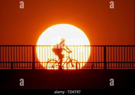 Magdeburg, Deutschland. Juni, 2019 18. Ein Radfahrer die Brücke bei Sonnenaufgang. Die Region rund um die Landeshauptstadt ist mit einem warmen, sonnigen Sommertag. Credit: Klaus-Dietmar Gabbert/dpa-Zentralbild/ZB/dpa/Alamy leben Nachrichten Stockfoto