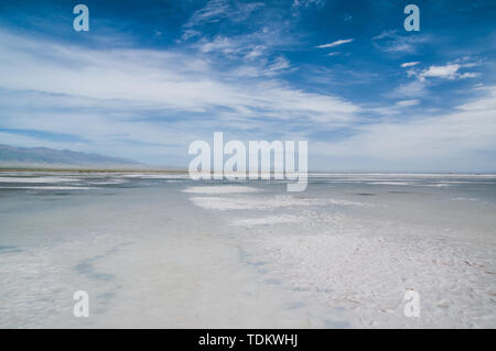 Tee qinghai See Stockfoto