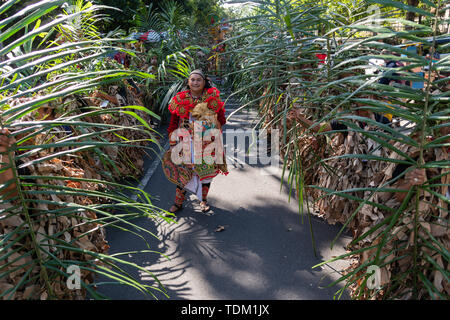 DENPASAR/BALI - 15. JUNI 2019: Baris Memedi Tanz ist bei der Eröffnung des Bali Arts Festival 2019 durchgeführt. Es ist ein magischer Tanz, der s führt Stockfoto