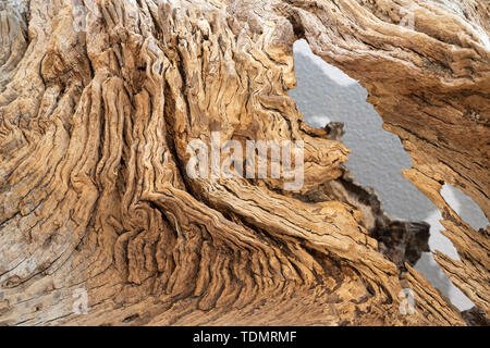 Die Details der modernen Holz Dekorative eiche Skulptur. Stockfoto