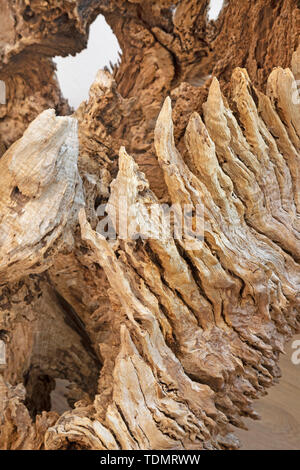 Die Details der modernen Holz Dekorative eiche Skulptur. Stockfoto
