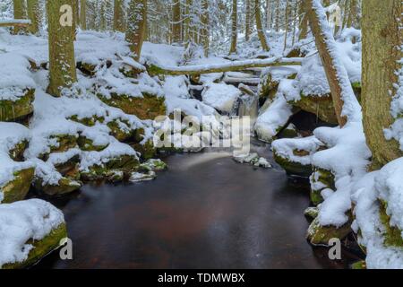 Winterlandschaft an Hammerbach, langfristige Exposition, Nationalpark Sumava, Böhmerwald, Tschechien Stockfoto