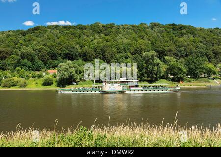 Historische Raddampfer auf der Elbe, Nationalpark Sächsische Schweiz, Sachsen, Deutschland Stockfoto