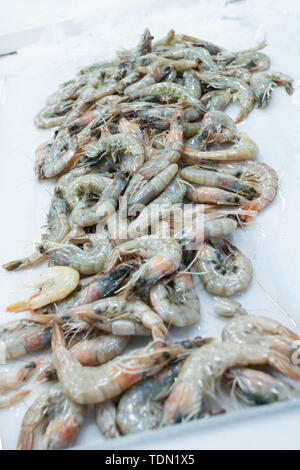Authentische Bio-lebensmittel. Meeresfrüchte Italiener delishes im Shop Stockfoto