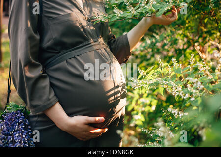 Nahaufnahme der Bauch einer schwangeren Frau in einem Park mit schönen Sommer blühende Strauch Blumen Schatten. Warmes Abendlicht. Stockfoto