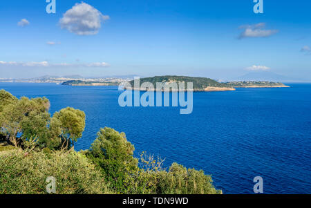 Inseln Vivara und Procida (hinten), Italienisch Stockfoto