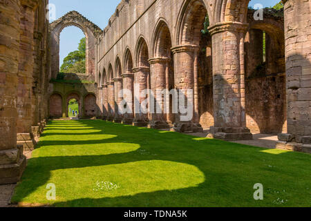 Fountains Abbey, Yorkshire Dales NP, Yorkshire, Großbritannien Stockfoto