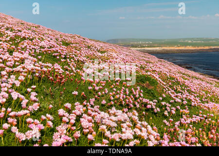 Von Brouch Birsay, Orkney Island, Schottland, Großbritannien Stockfoto