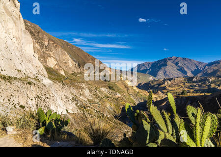 Blick entlang der Kante des Colca Canyon, Peru, Südamerika Stockfoto