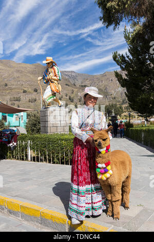 Lokale Frau in traditioneller Kleidung mit einem Lama stellt in der Plaza von Maca, Colca Canyon, Peru, Südamerika, Stockfoto