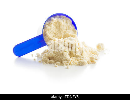 Whey Protein Pulver in Schaufel auf weißem Hintergrund. Stockfoto