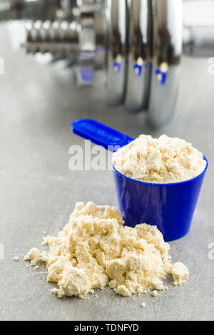 Whey Protein Pulver in der Schaufel. Stockfoto