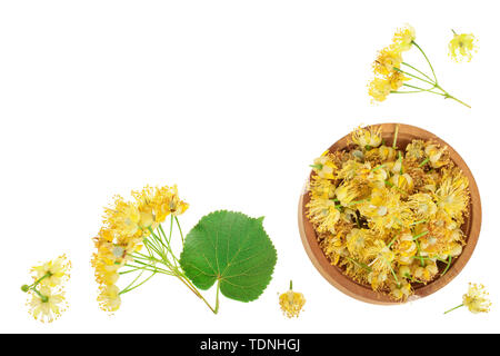 Linden Blumen mit Blatt in Houten auf weißem Hintergrund mit Kopie Platz für Ihren Text isoliert. Ansicht von oben. Flach. Stockfoto