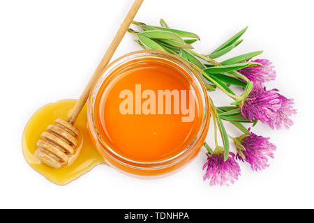 Honig mit Klee Blumen auf weißem Hintergrund. Ansicht von oben. Flach. Stockfoto