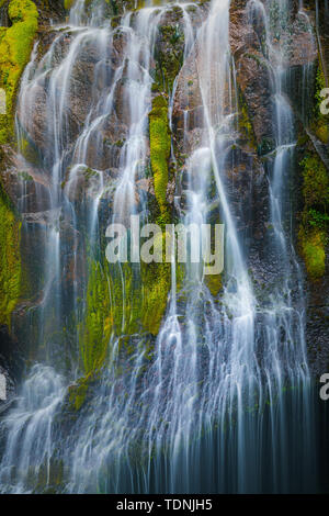 Panther Creek Falls ist eine 130 Fuß (40 m) Wasserfall auf Panther Creek im Wind River Valley in Skamania County, Washington. Der Wasserfall besteht aus Stockfoto