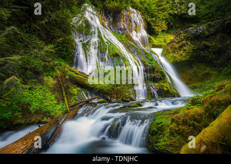 Panther Creek Falls ist eine 130 Fuß (40 m) Wasserfall auf Panther Creek im Wind River Valley in Skamania County, Washington. Der Wasserfall besteht aus Stockfoto