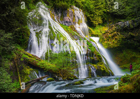 Eine Frau vor der Panther Creek Falls posieren. Eine 130 Fuß (40 m) Wasserfall auf Panther Creek im Wind River Valley in Skamania County, Washingt Stockfoto