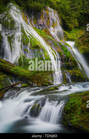 Panther Creek Falls ist eine 130 Fuß (40 m) Wasserfall auf Panther Creek im Wind River Valley in Skamania County, Washington. Der Wasserfall besteht aus Stockfoto