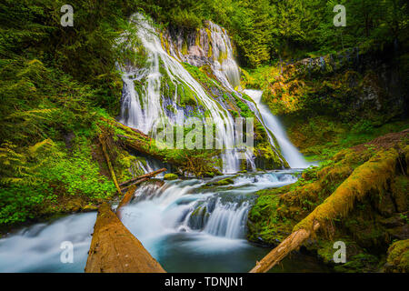 Panther Creek Falls ist eine 130 Fuß (40 m) Wasserfall auf Panther Creek im Wind River Valley in Skamania County, Washington. Der Wasserfall besteht aus Stockfoto