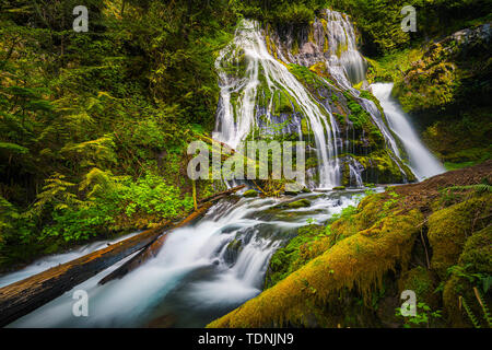 Panther Creek Falls ist eine 130 Fuß (40 m) Wasserfall auf Panther Creek im Wind River Valley in Skamania County, Washington. Der Wasserfall besteht aus Stockfoto