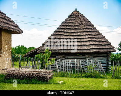 Blick auf ein schönes Pferd beim Gehen in den Hof. Stockfoto