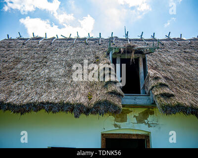 Blick auf die Tatched Dach eines traditionellen ungarischen Pisa Haus in Szentendre, Ungarn an einem sonnigen Tag. Stockfoto