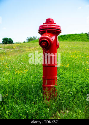 Blick auf ein Feuer hydrand auf der grünen Wiese an einem sonnigen Tag. Stockfoto
