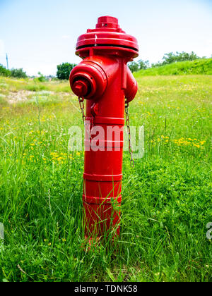 Blick auf ein Feuer hydrand auf der grünen Wiese an einem sonnigen Tag. Stockfoto