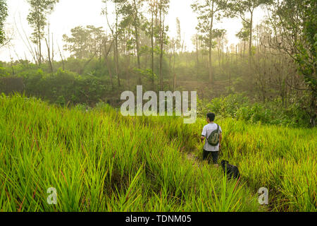 Menschen wandern mit seinem Hund in einem Wald mit langen grünen Gras oder Unkraut mit steigenden Sonnenaufgang im Hintergrund. Stockfoto