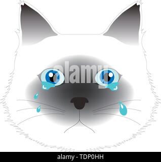 Weinend Birman cat, Computer Graphics, CG, Vektor, Vektoren Stockfoto