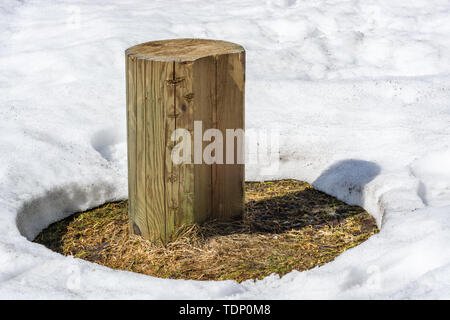 Frühjahr Tauwetter im Schnee mit einem hölzernen Baumstumpf in der Mitte. Stockfoto