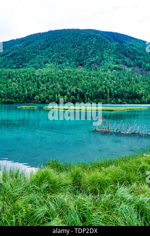 Kanas See Wolong Bay Xinjiang Sommer Stockfoto