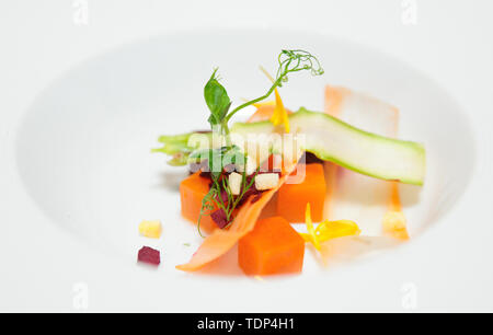 Frische, saisonale vegetbles geschnitten in der Platte für die Suppe, close-up Stockfoto