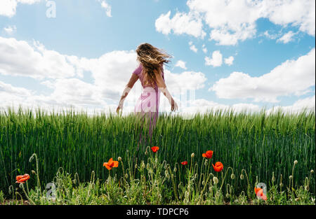 Langhaarige Frau im rosa Kleid auf einem Feld von grüner Weizen und Klatschmohn. Stockfoto