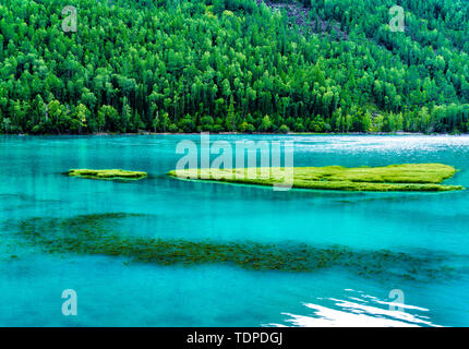 Kanas See Wolong Bay Xinjiang Sommer Stockfoto