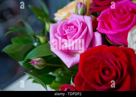 Schönen Blumenstrauß Gerbera Blumen mit weißen, roten, rosa und gelbe Blumen. Schöne Hochzeit bunte Blumenstrauß für die Braut. Schönheit der bunten Blumen. Stockfoto