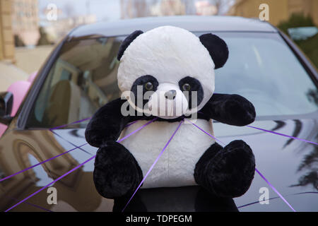 Ein panda Puppe vor ein Auto für die Beschneidung platziert. panda Spielzeug. Panda Marionette auf dem Auto. Stockfoto