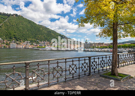 Comer See - Die Stadt mit der Kathedrale und dem Hafen von der Promenade aus. Stockfoto