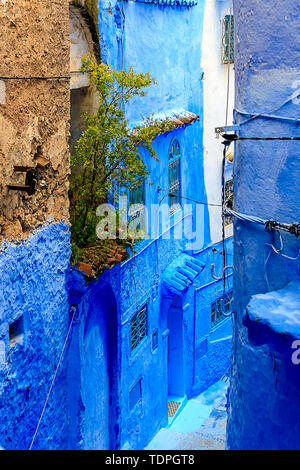 Chefchaouen, eine Stadt mit blau bemalten Häusern. Eine Stadt mit schmalen, schönen, blauen Straßen. Eine Treppe führt nach unten. Tanger, Marokko, Afrika Stockfoto