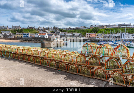 Hummer Töpfen bei Findochty Hafen, Moray Firth, Schottland; Findochty, Moray, Schottland Stockfoto