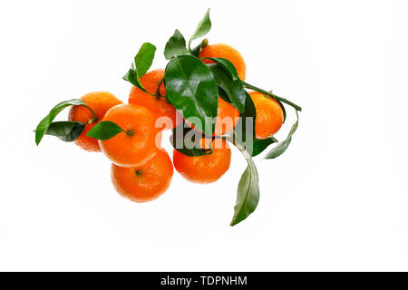 Ein Bündel von frischem grünen Eisberg orange auf weißem Hintergrund platziert Stockfoto
